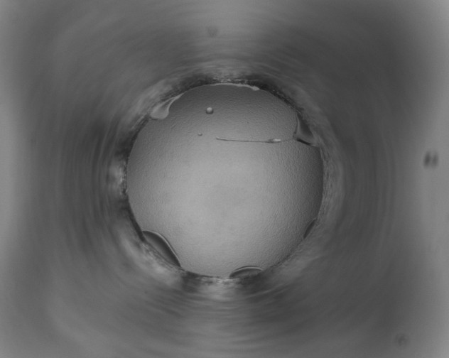 X0000113230288200909241530