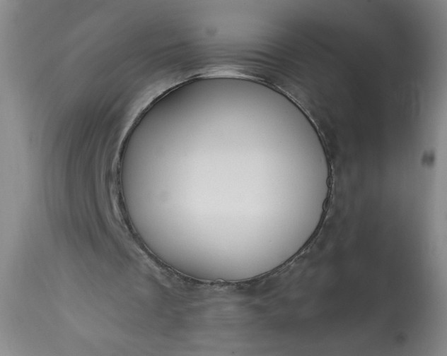 X0000113230289200909241529