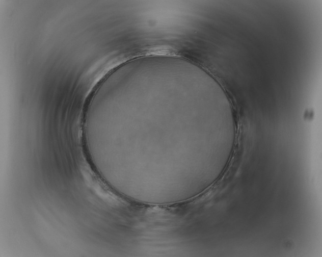 X0000113230290200909241529