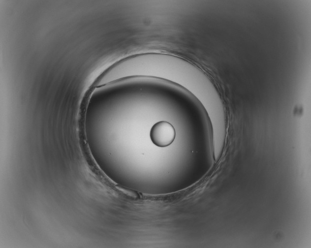 X0000113230292200909241529