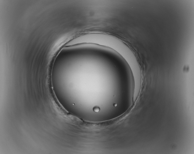 X0000113230293200909241529