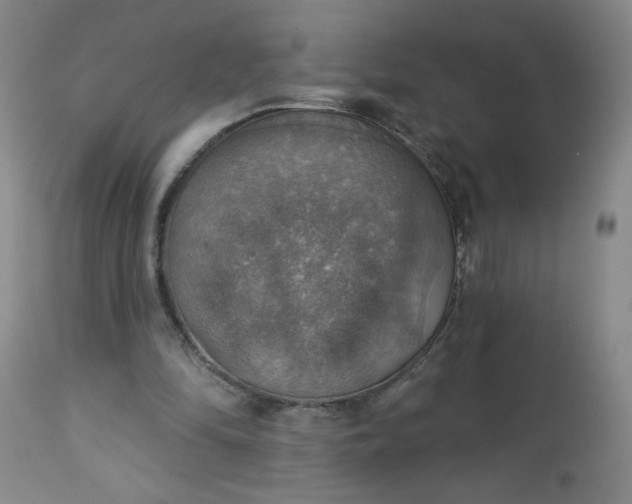 X0000113230294200909241529