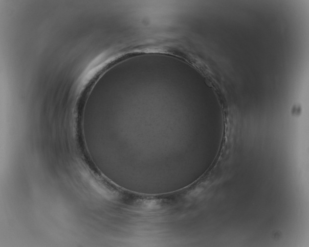 X0000113230295200909241529