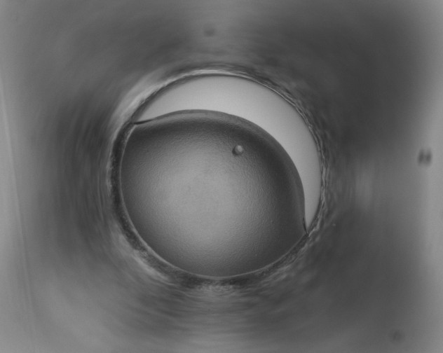 X0000113230296200909241529