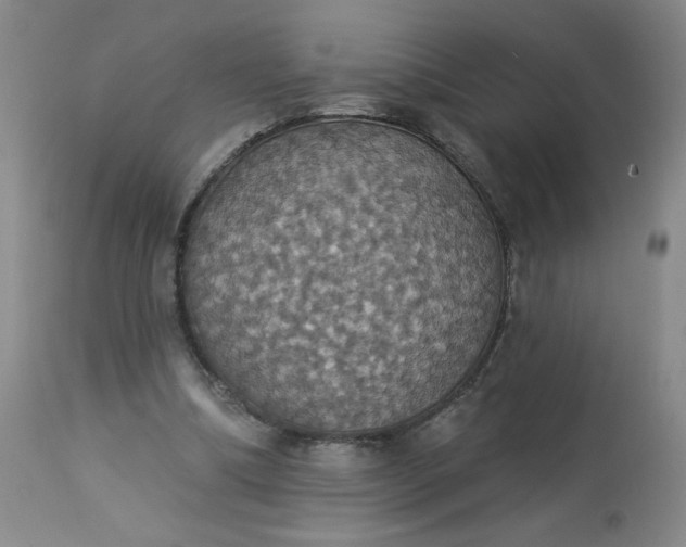 X0000113230298200909241529