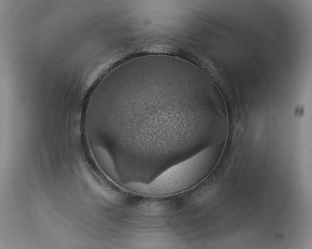 X0000113230299200909241529