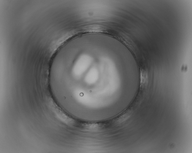 X0000113230301200909241529