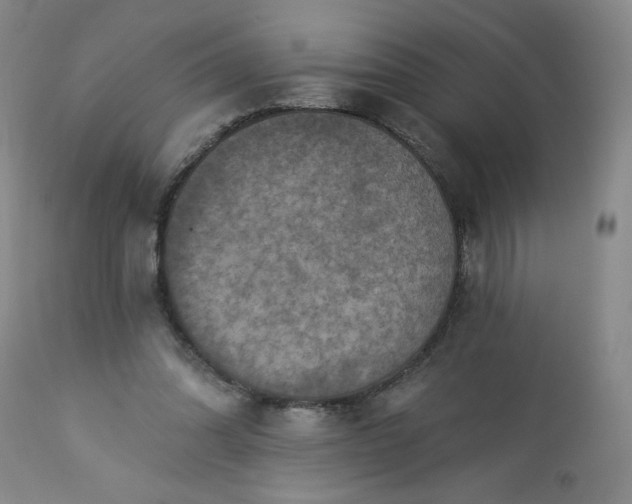 X0000113230302200909241529