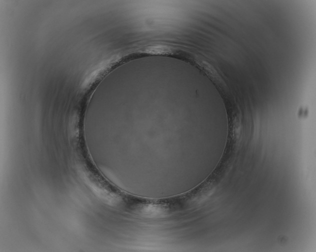 X0000113230303200909241529