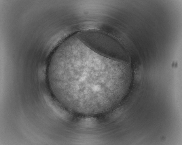 X0000113230304200909241529