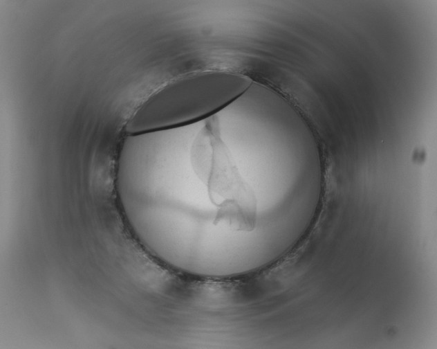 X0000113230305200909241529