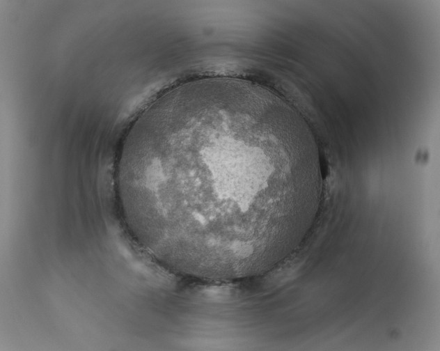 X0000113230306200909241529