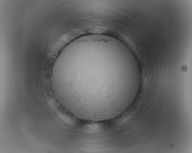 X0000113230307200909241529