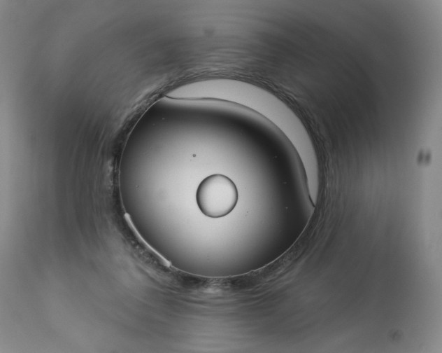 X0000113230308200909241529