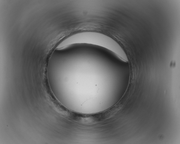 X0000113230309200909241529