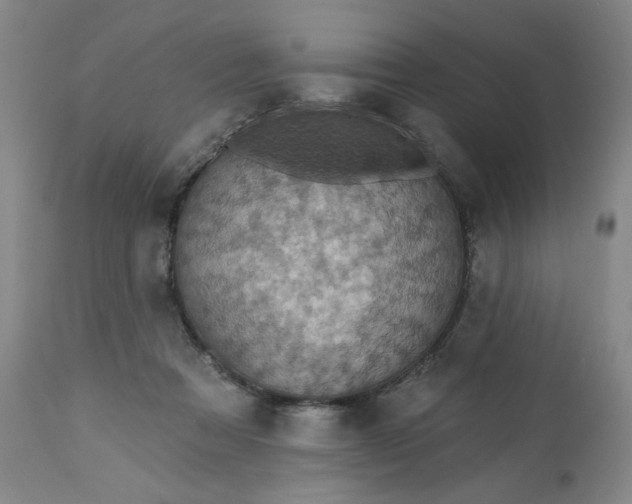 X0000113230313200909241529