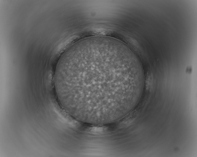 X0000113230314200909241529