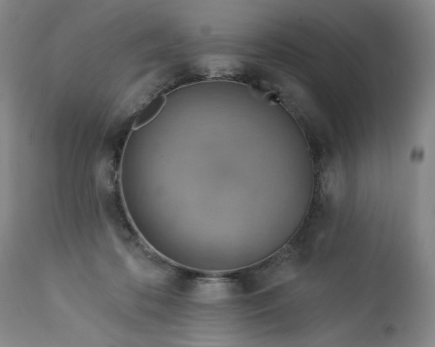 X0000113230316200909241529