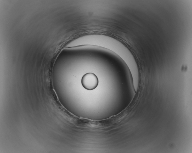 X0000113230317200909241529