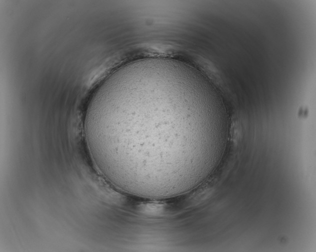 X0000113230318200909241529