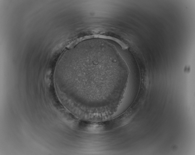 X0000113230319200909241529