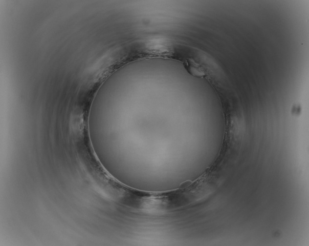 X0000113230320200909241529