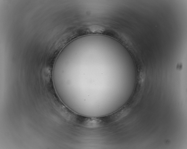 X0000113230321200909241529