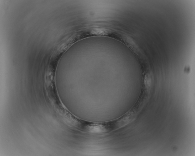 X0000113230322200909241529