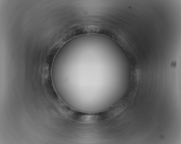 X0000113230323200909241529