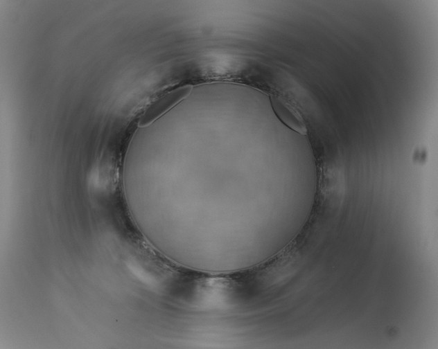 X0000113230324200909241529