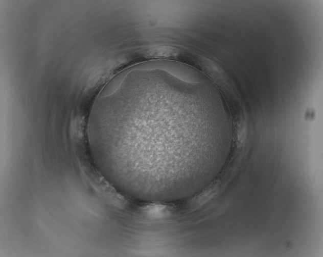 X0000113230326200909241529