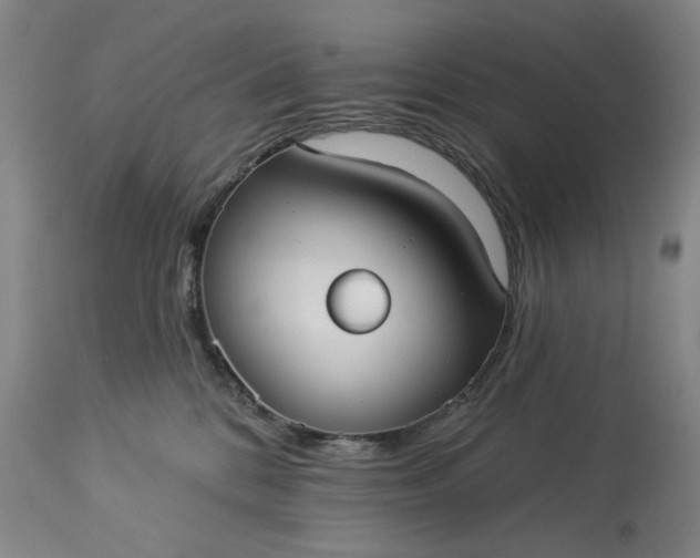 X0000113230328200909241529