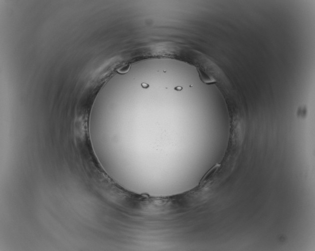 X0000113230329200909241529