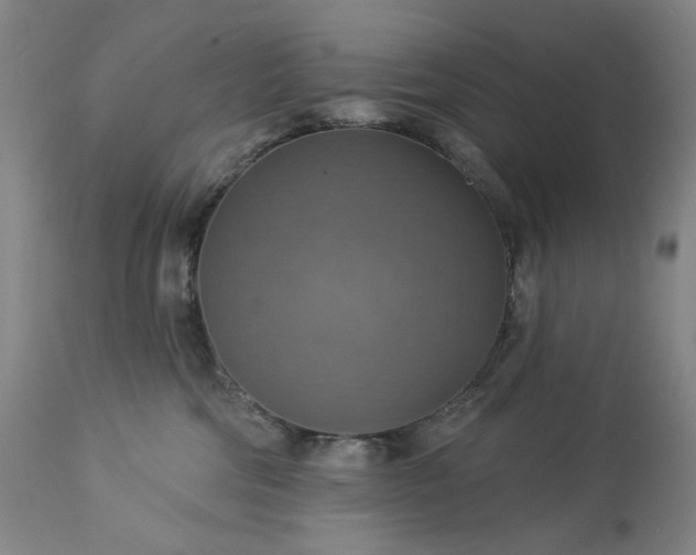 X0000113230330200909241529