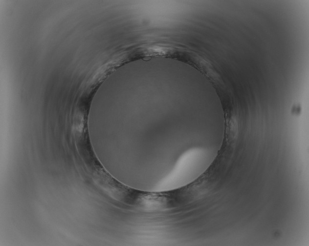 X0000113230331200909241529