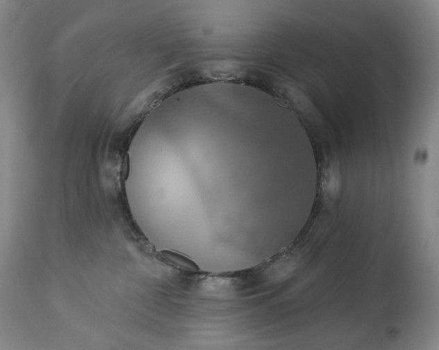 X0000113230332200909241529