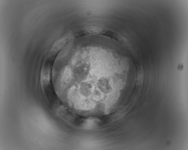 X0000113230334200909241529