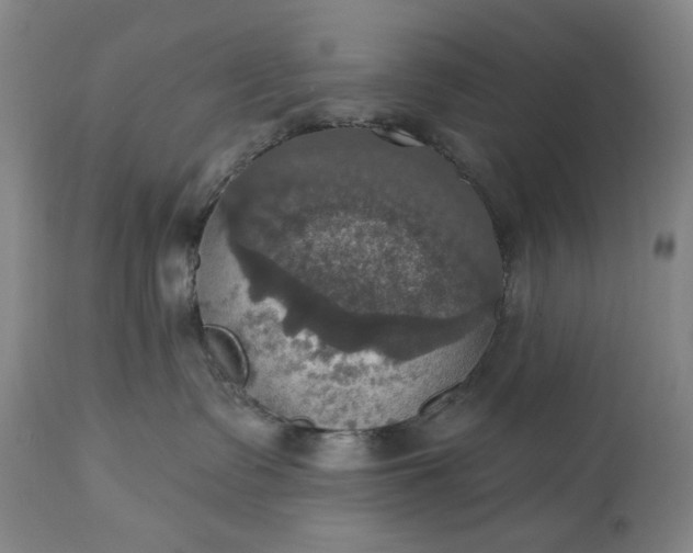 X0000113230335200909241529