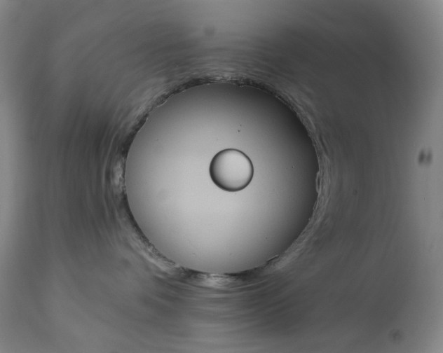 X0000113230336200909241528