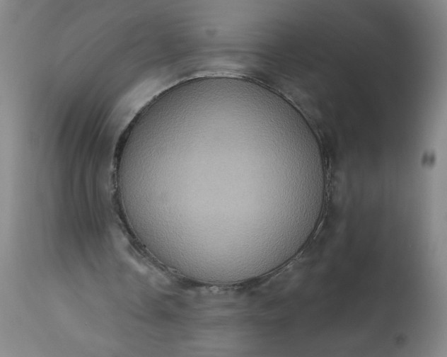 X0000113230338200909241528