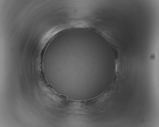 X0000113230339200909241528