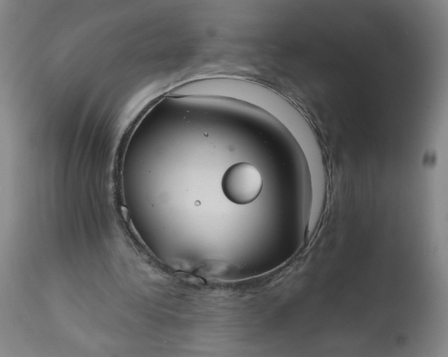 X0000113230340200909241528