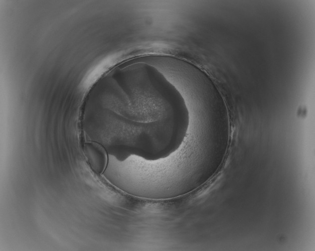 X0000113230341200909241528