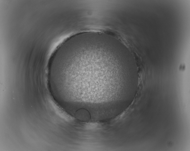 X0000113230342200909241528