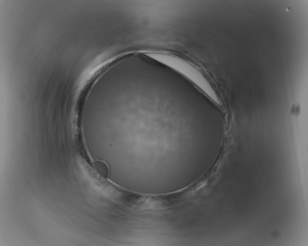 X0000113230343200909241528