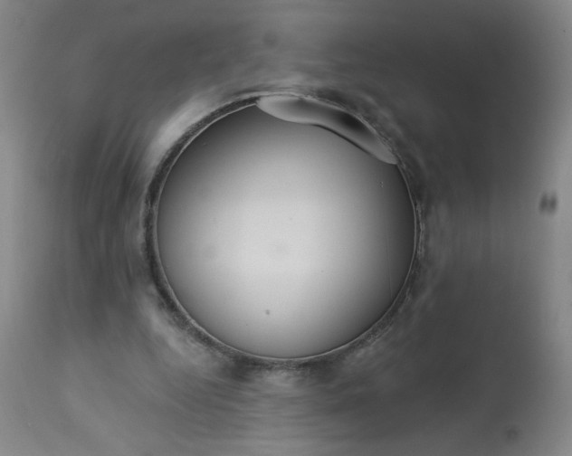 X0000113230344200909241528