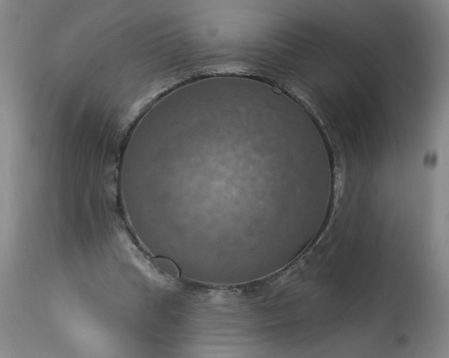 X0000113230345200909241528