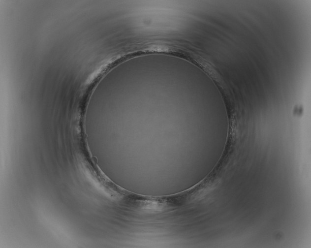 X0000113230347200909241528