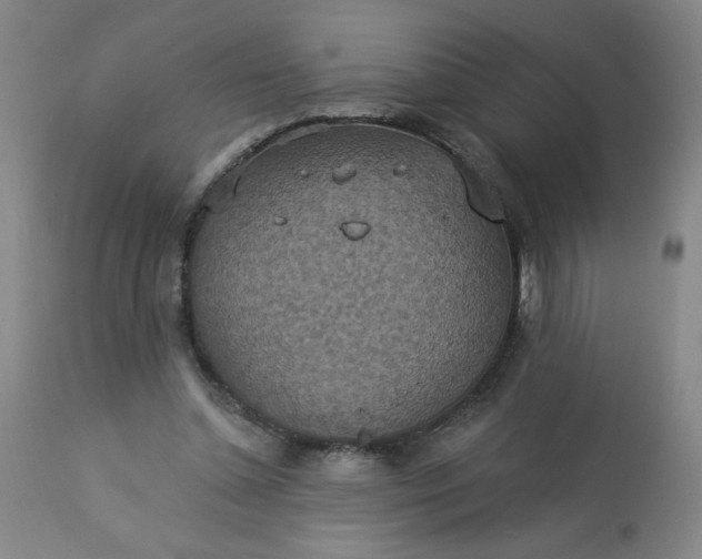 X0000113230348200909241528