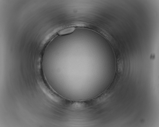 X0000113230350200909241528